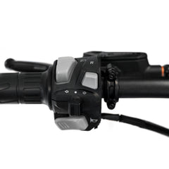 SRPNT X3 - Grape Soda